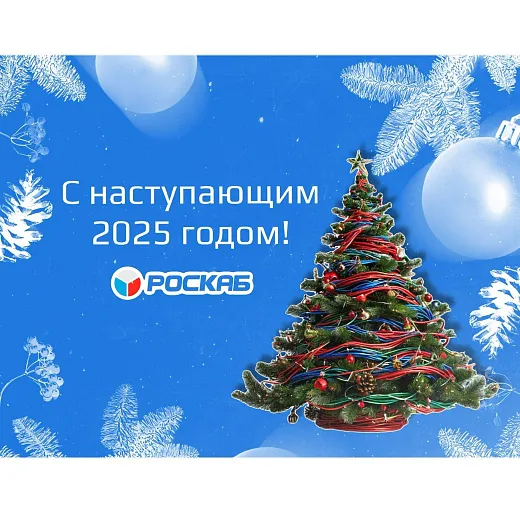С наступающим Новым 2025 годом!